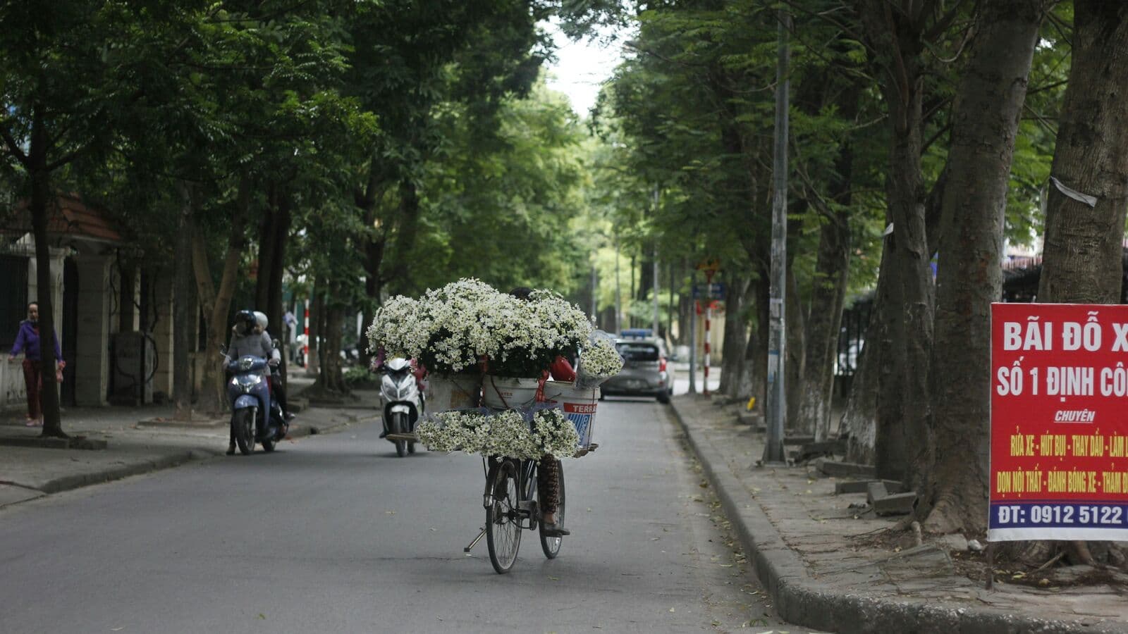 Bicycle carrying daisies along a Hanoi street in early winter